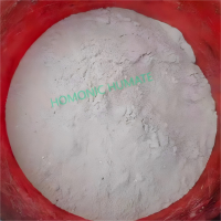 微信图片_20250914102003_76_231(1)(1)(1)-400x400